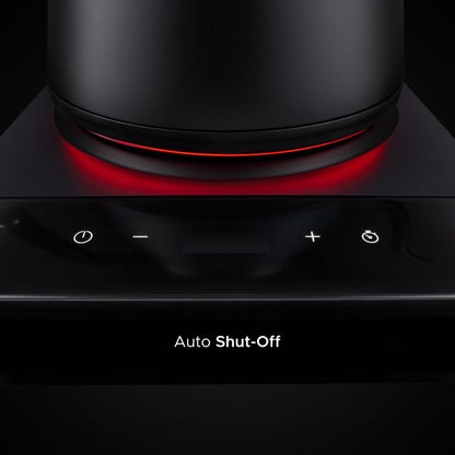 Baristan Gooseneck Kettle