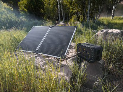 RECERTIFIED - Lion Summit