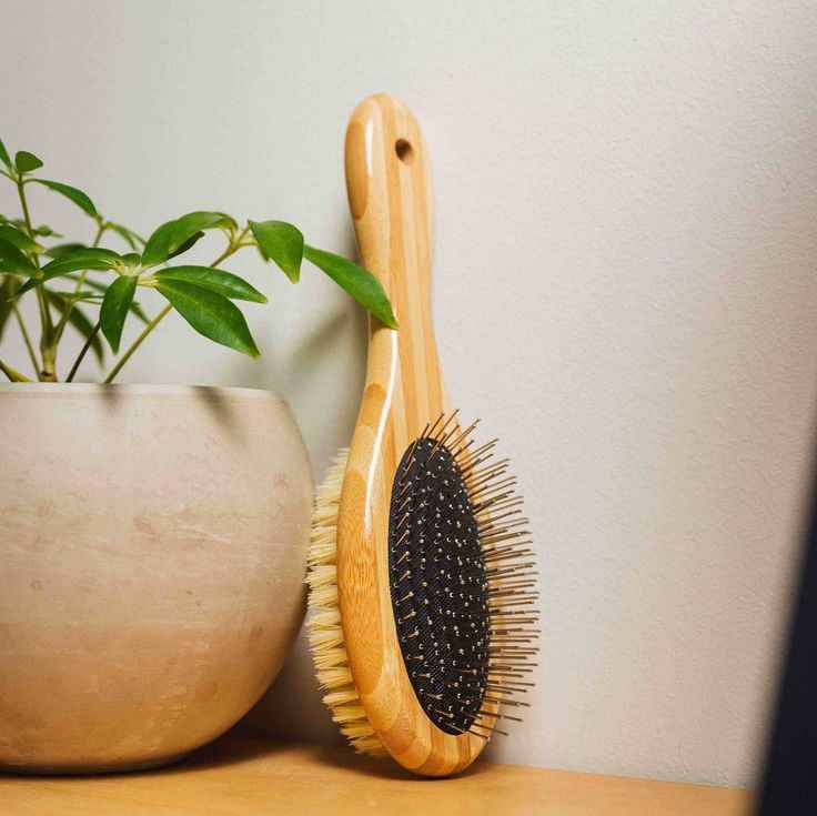 Two-Sided Pet Brush – Bristle & Wire for Shedding & Detangling