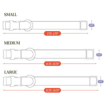 Collar de PVC para perros: resistente al agua, duradero y a los olores.