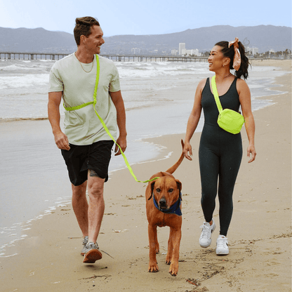 Collar de PVC para perros: resistente al agua, duradero y a los olores.