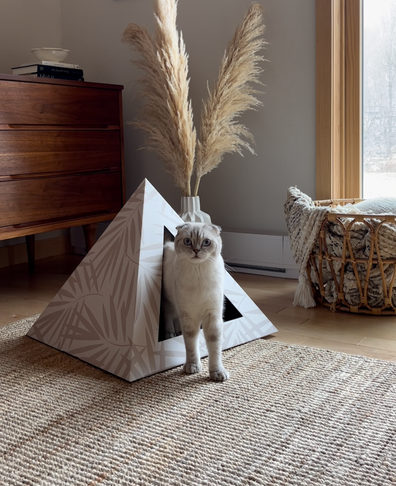 'Neutral Palm' Cardboard Cat Pyramid