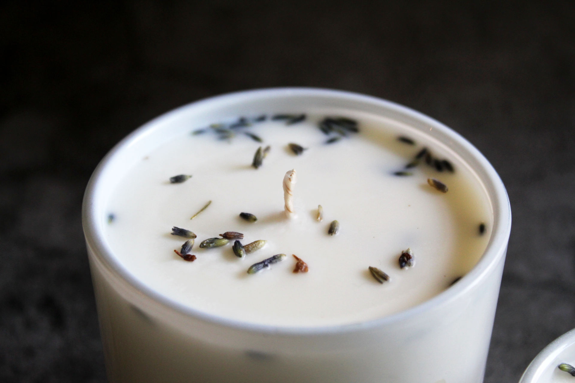 LIMITED EDITION - A SOLITUDE CANDLE - Lolomo!