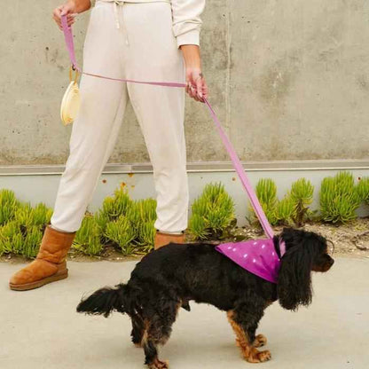 Malibu Sunset Sustainable Hemp Cotton Adjustable Dog Leash – Durable & Soft