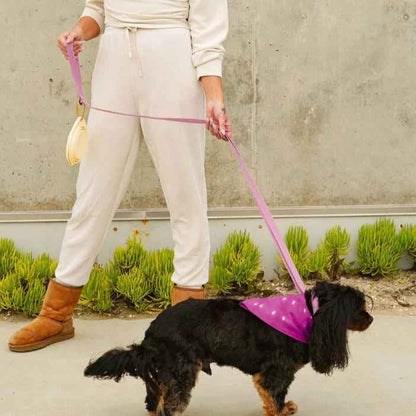 Malibu Sunset Sustainable Hemp Cotton Adjustable Dog Collar– Durable & Soft