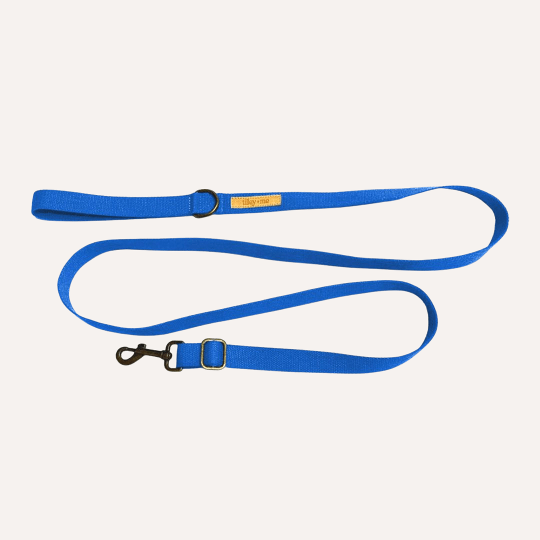 Malibu Sunset Sustainable Hemp Cotton Adjustable Dog Leash – Durable & Soft - Lolomo!