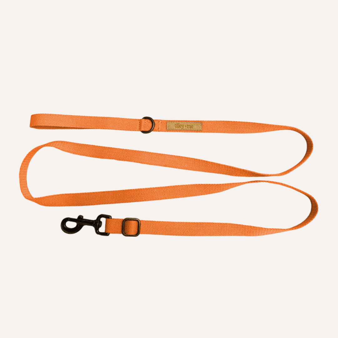 Malibu Sunset Sustainable Hemp Cotton Adjustable Dog Leash – Durable & Soft - Lolomo!