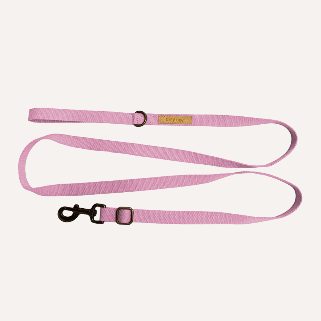 Malibu Sunset Sustainable Hemp Cotton Adjustable Dog Leash – Durable & Soft - Lolomo!