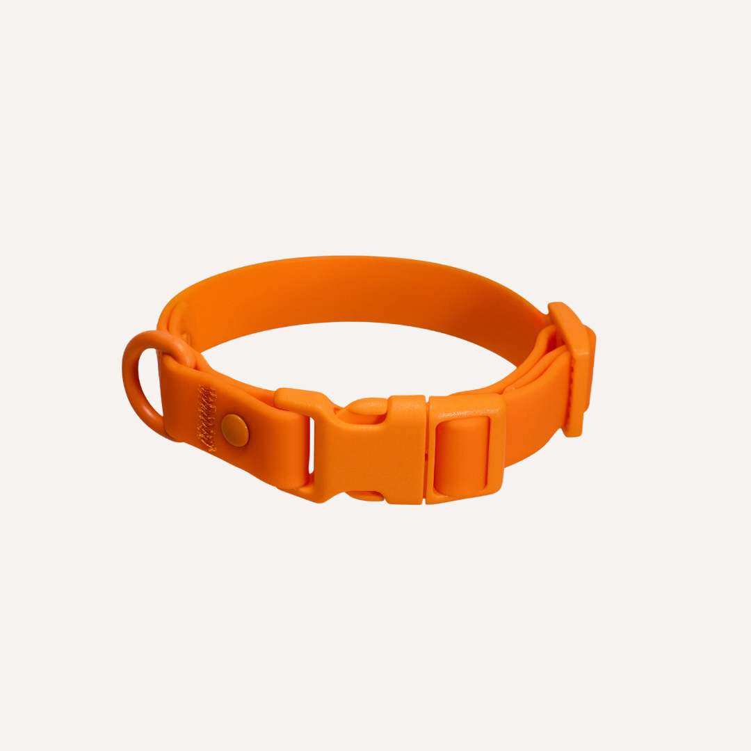 Collar de PVC para perros: resistente al agua, duradero y a los olores.