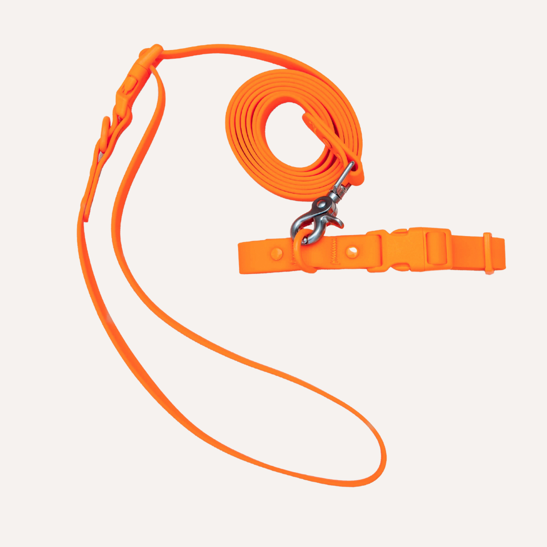 Collar de PVC para perros: resistente al agua, duradero y a los olores.