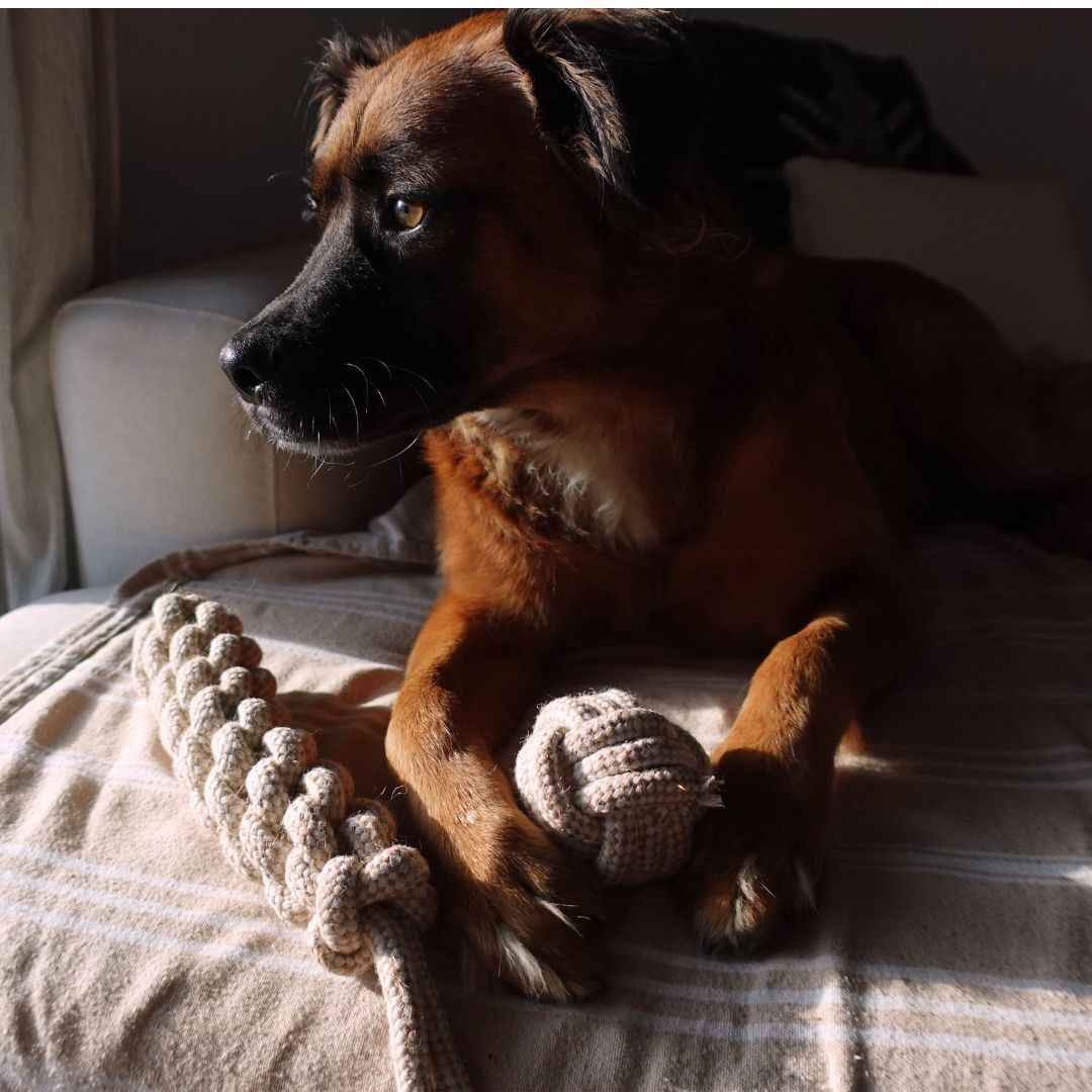 Indestructible Hemp Rope Tug Toy - Sustainable and Non-Toxic Pet Toy