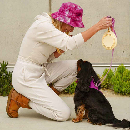 Collapsible Double Pet Bowl – Lightweight & Portable for Travel