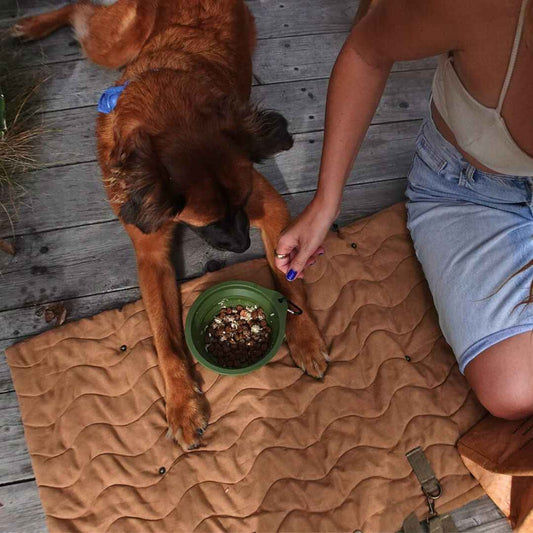 Convertible Dog Bag - Portable Travel Mat Bag for Pet Owners