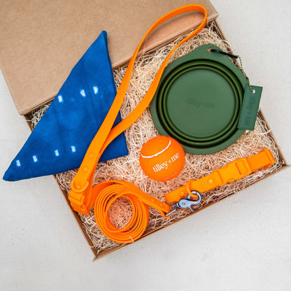 Collar de PVC para perros: resistente al agua, duradero y a los olores.