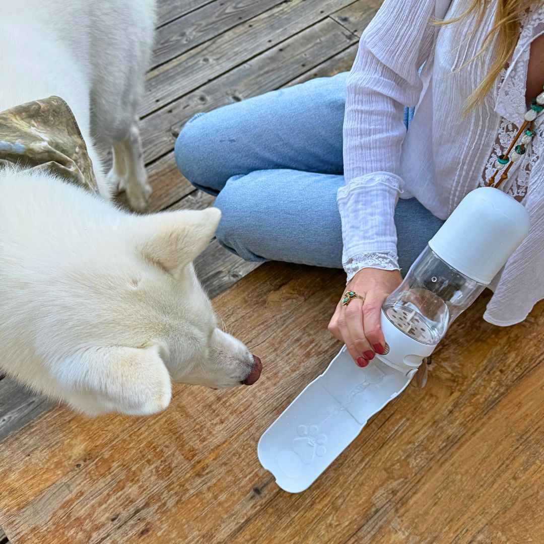 Travel Dog Water Bottle with Treat Holder – Leakproof & BPA-Free 350mL