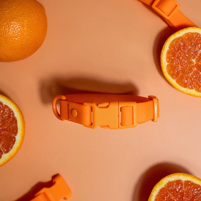 Collar de PVC para perros: resistente al agua, duradero y a los olores.