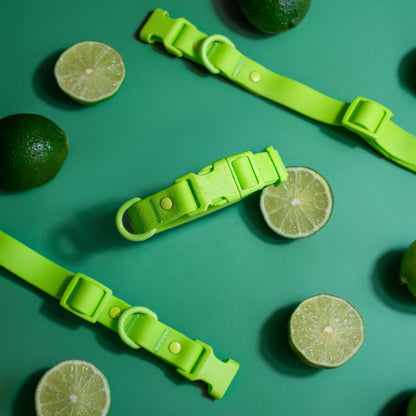 Collar de PVC para perros: resistente al agua, duradero y a los olores.