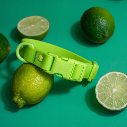 Collar de PVC para perros: resistente al agua, duradero y a los olores.