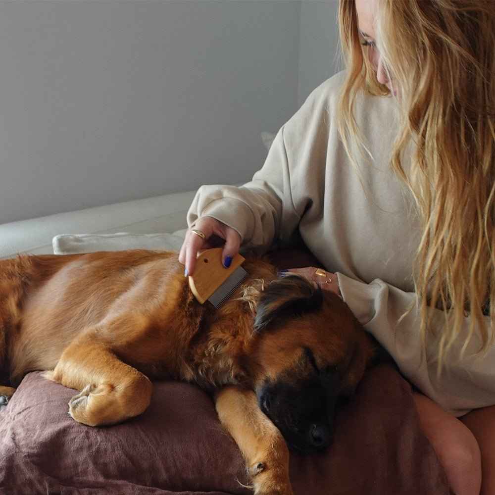 Bamboo Flea Comb for Dogs & Cats – Gentle & Eco-Friendly