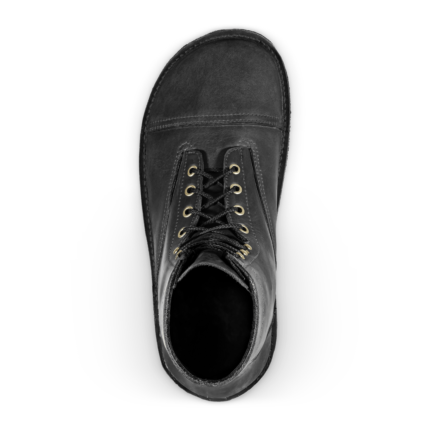 Bruin-Patriot - Dark Horse - Lolomo!