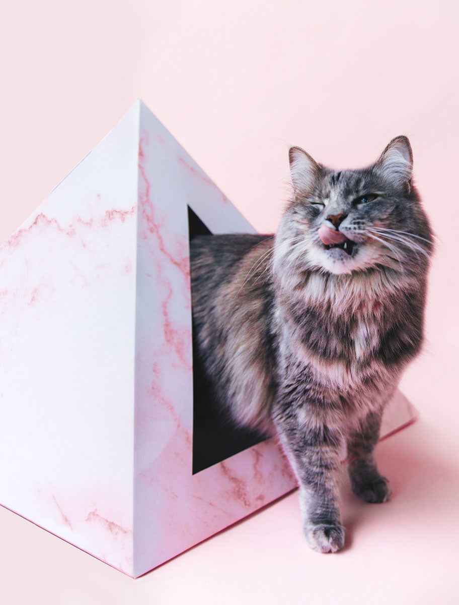 'Rose Quartz' Cardboard Cat Pyramid
