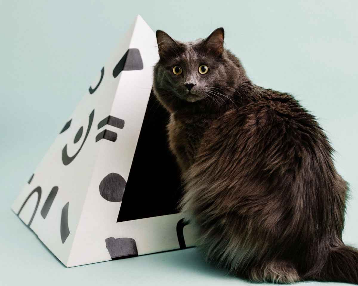 'Doodle' Cardboard Cat Pyramid