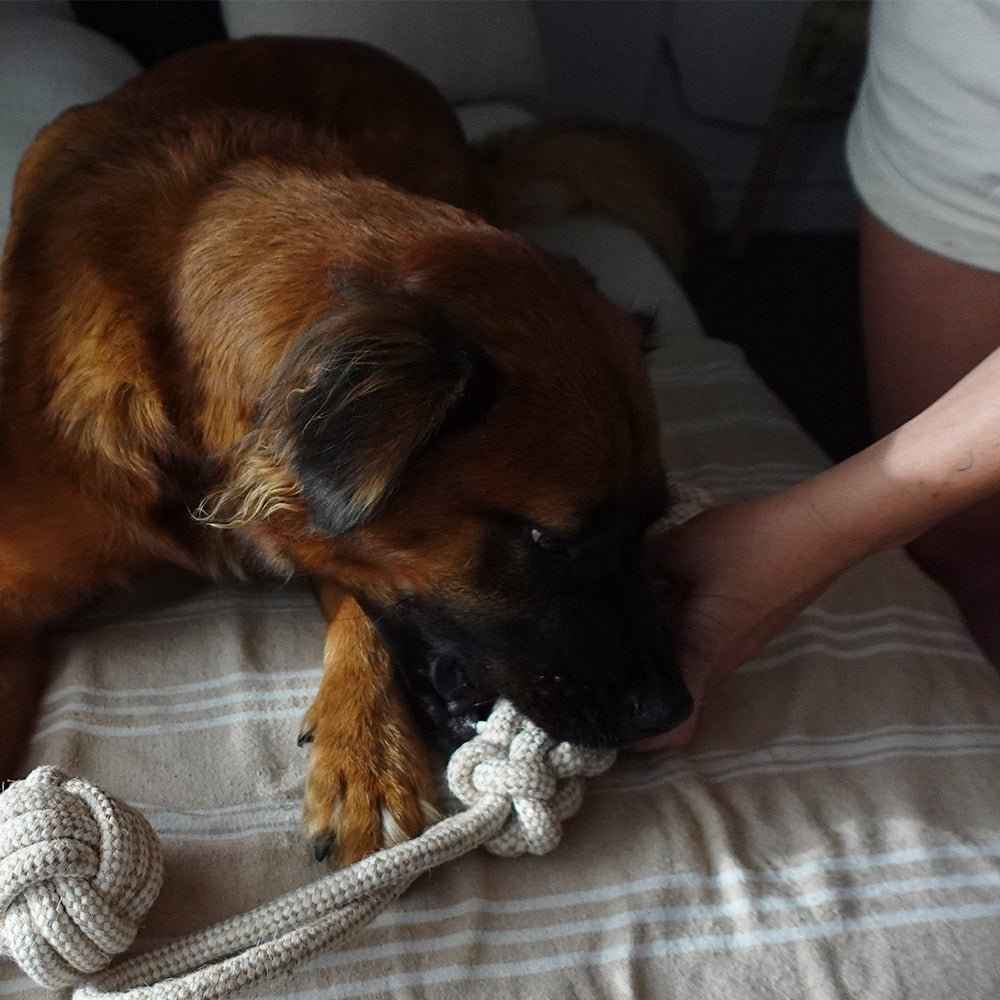 Indestructible Hemp Rope Tug Toy - Sustainable and Non-Toxic Pet Toy