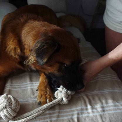 Indestructible Hemp Rope Tug Toy - Sustainable and Non-Toxic Pet Toy