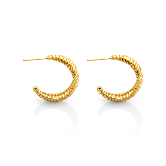 LA ELYSE GOLD EARRINGS - Lolomo!