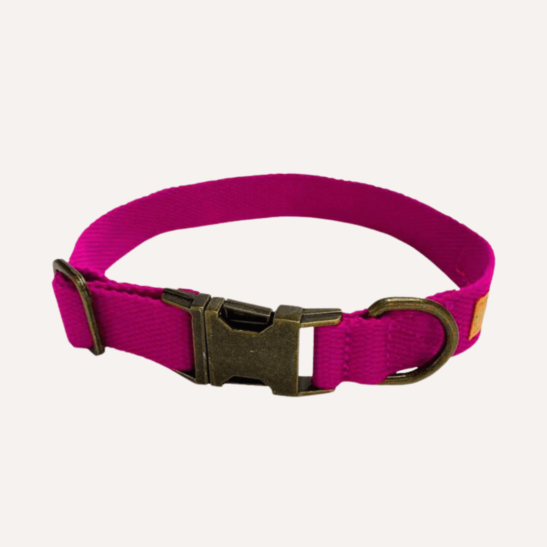 Malibu Sunset Sustainable Hemp Cotton Adjustable Dog Collar– Durable & Soft - Lolomo!