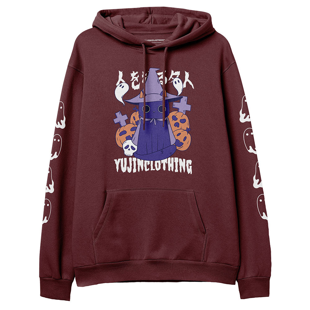 Master Manipulator Cat Hoodie - Lolomo!