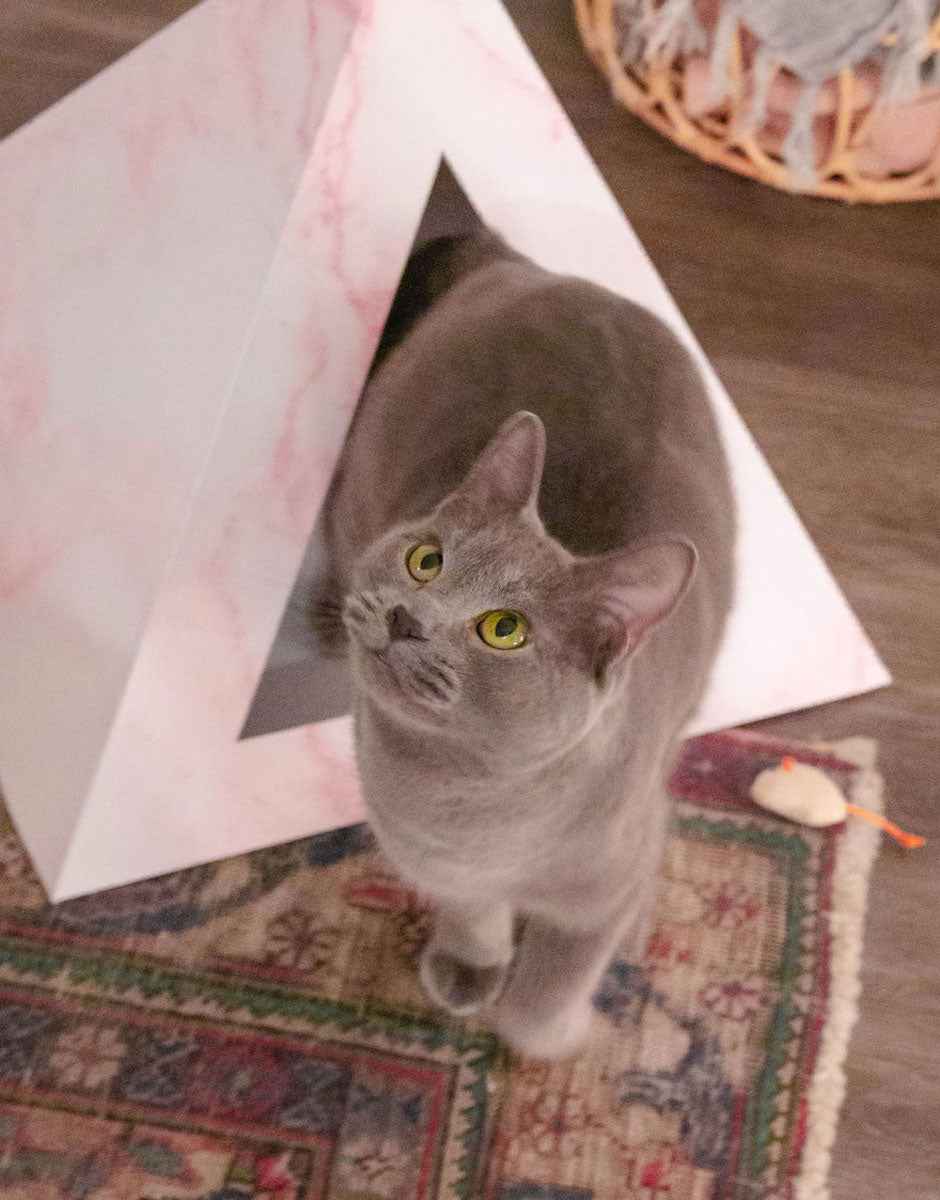 'Rose Quartz' Cardboard Cat Pyramid
