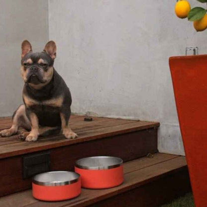 Stainless Steel Pet Bowl – Non-Slip, Durable & Dishwasher Safe | 32oz and 64oz