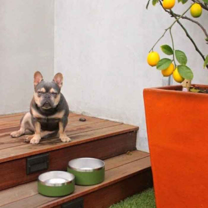 Stainless Steel Pet Bowl – Non-Slip, Durable & Dishwasher Safe | 32oz and 64oz