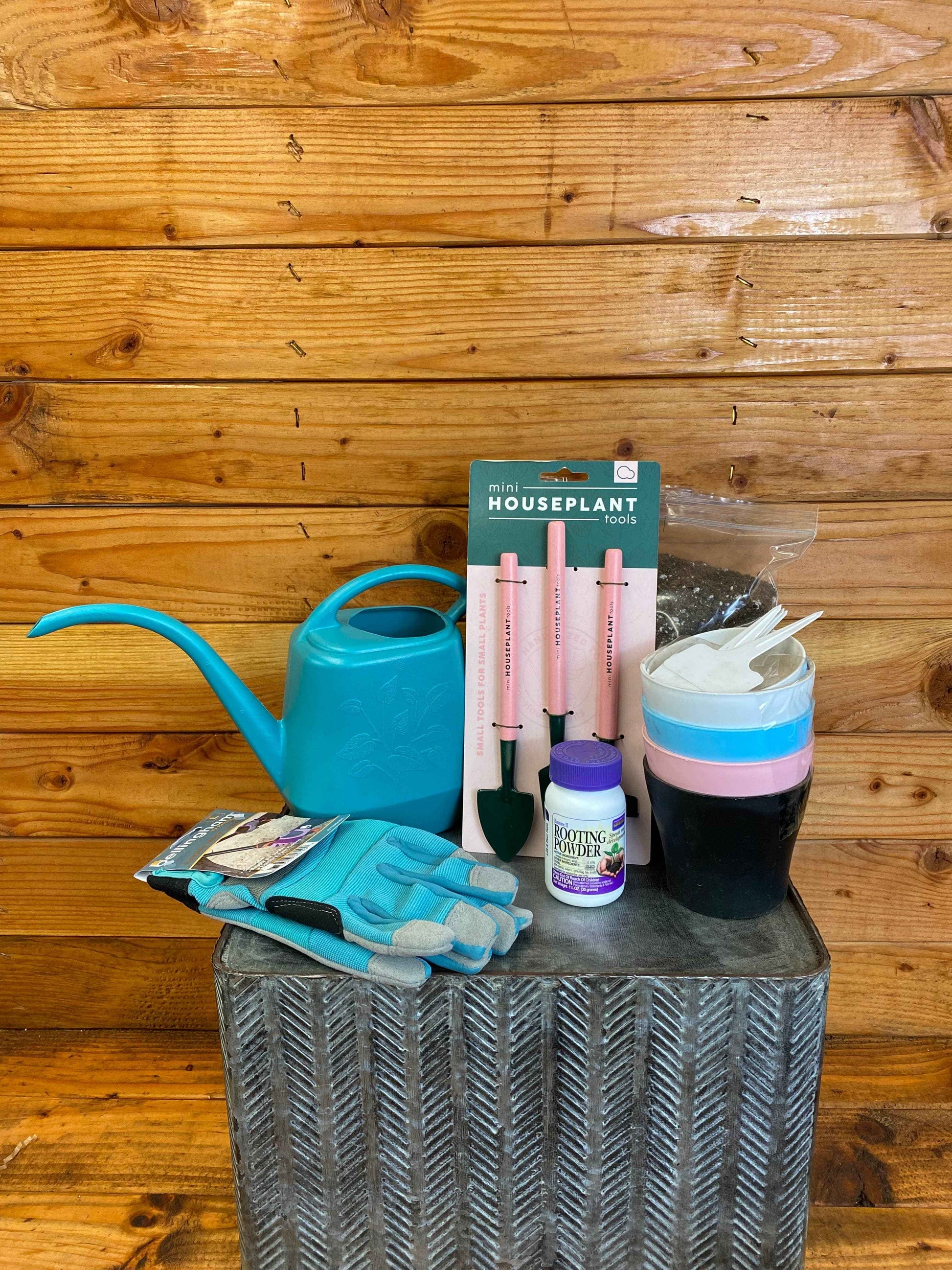 Houseplant Starter Box